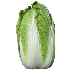 cabbage_napa