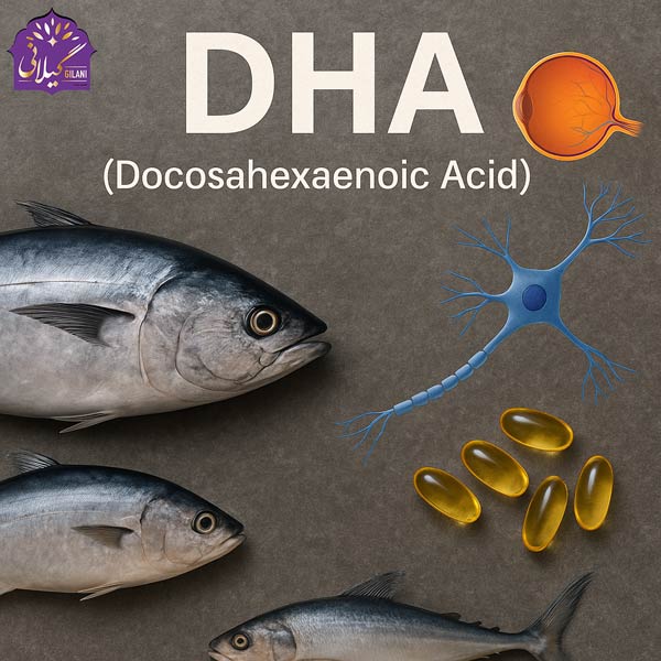 امگا-3-ماهی--DHA-دوکوزاهگزانوئیک-اسید-غشای-سلول‌های-عصبی-و-شبکیه-چشم