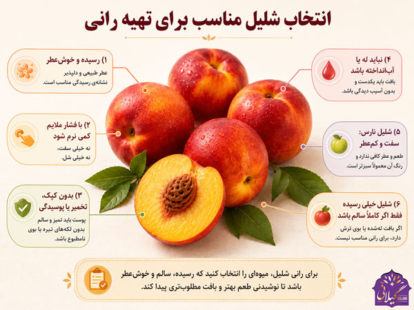 انتخاب-شلیل-مناسب-برای-تهیه-رانی-شلیل
