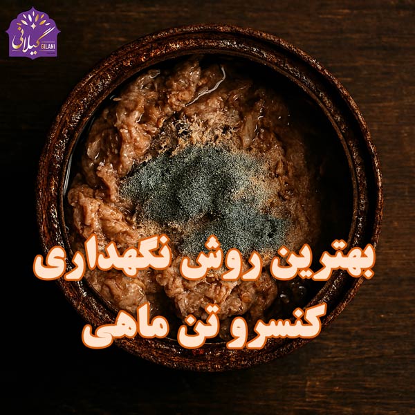 بهترین-روش-نگهداری-کنسرو-تن-ماهی