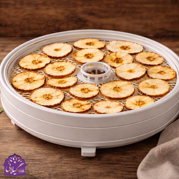 خشک-کردن-میوه-به-با-دستگاه-میوه-خشک-کن