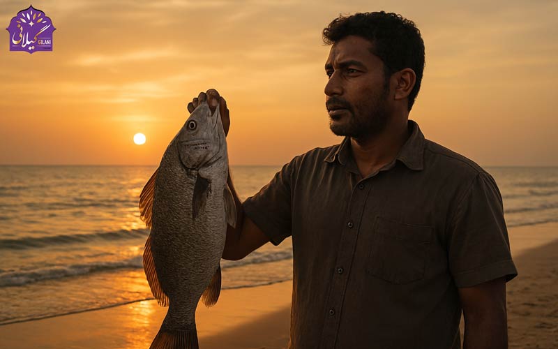 قلیه-ماهی-جنوبی-با-ماهی-سنگسر-و-ادویه‌های-تند