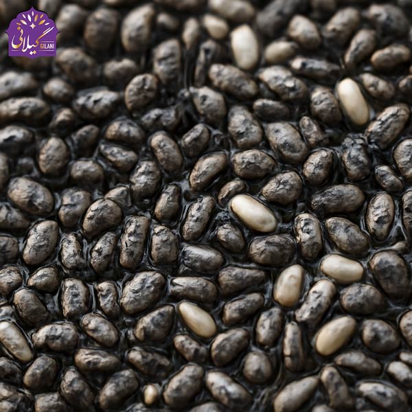 نمای-نزدیک-از-دانه‌های-چیا-با-جزئیات-دقیق،-نمایش-رنگ‌ها-و-بافت‌های-طبیعی-این-دانه‌ها