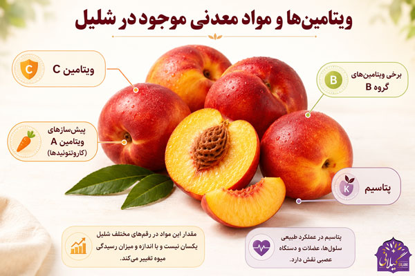 ویتامین-ها-و-خواص-شلیل