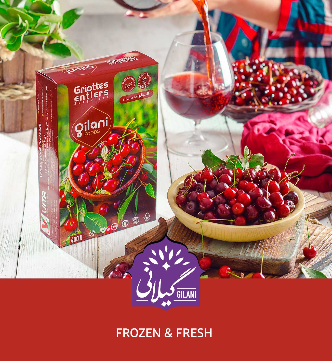 کاتالوگ محصولات منجمد گیلانی