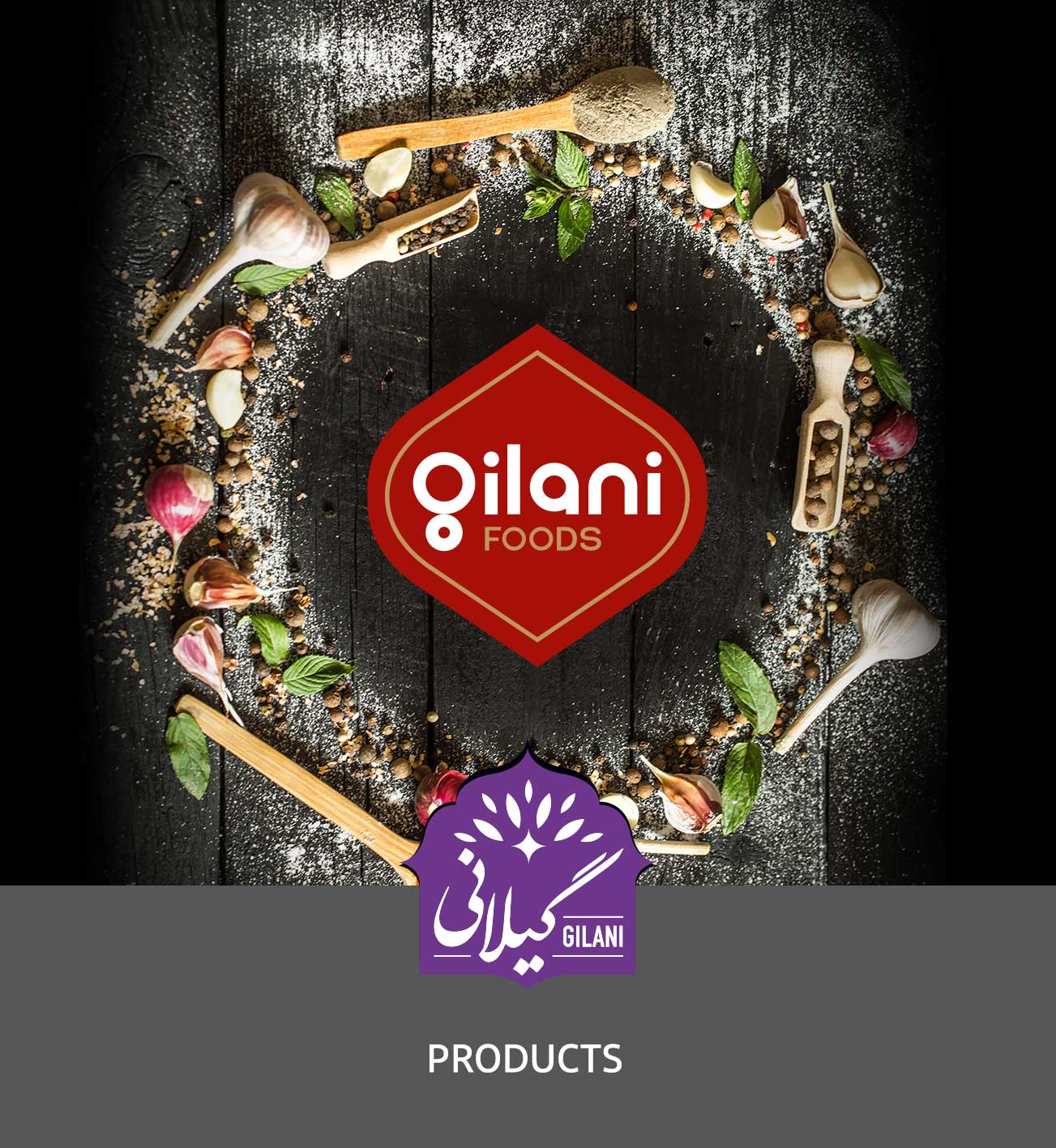 کاتالوگ محصولات گیلانی