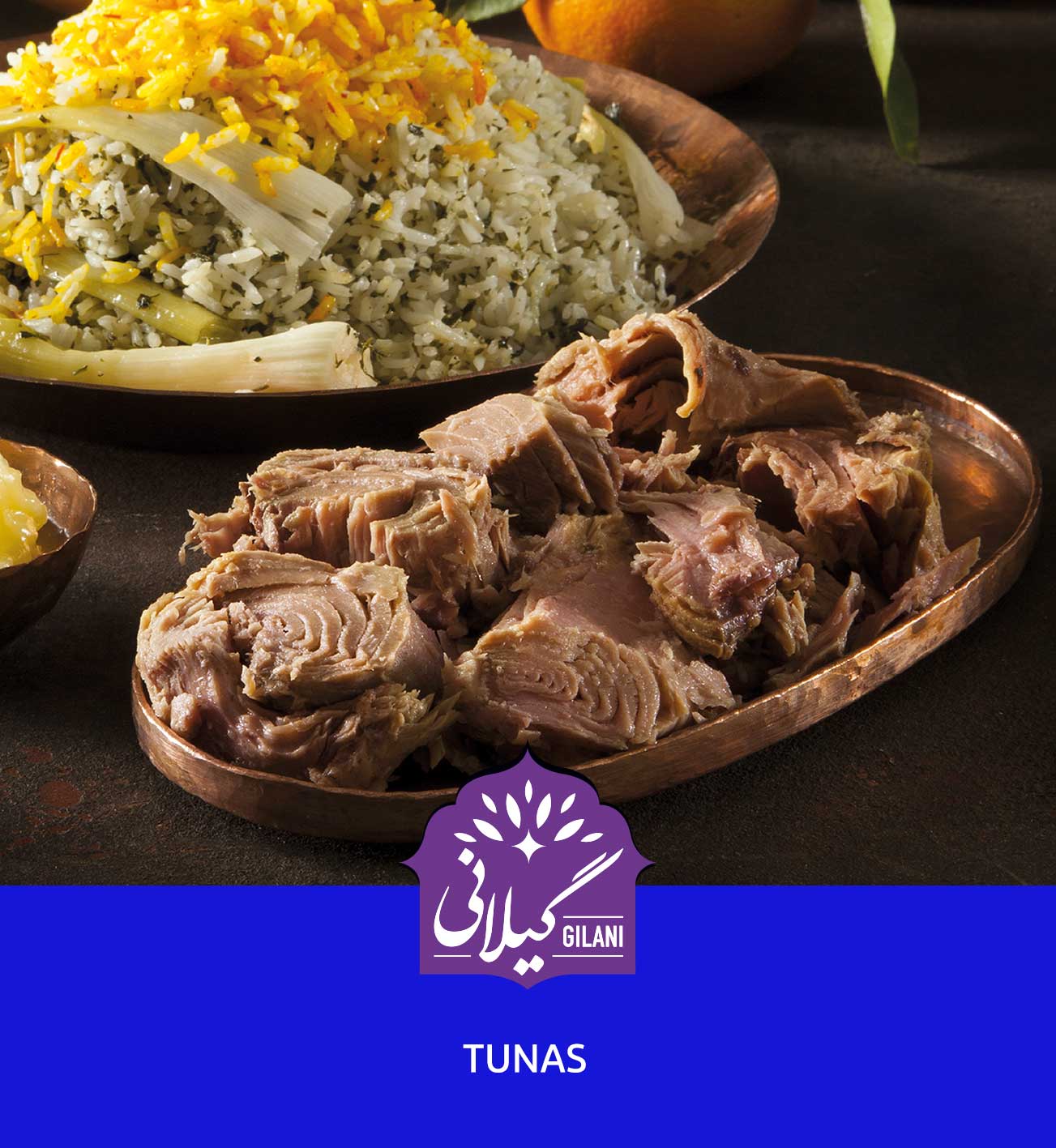 کاتالوگ انواع ماهی تن گیلانی