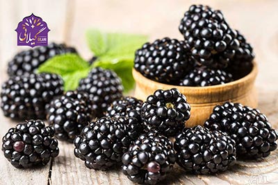 خواص باورنکردنی شاه توت چیست و چه تاثیری بر بدن دارد؟