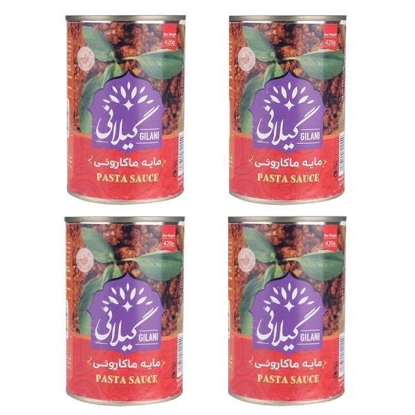 مایه ماکارونی گیلانی 420 گرم بسته 4 عددی