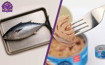​بررسی جامع ارزش غذایی ماهی تن و کنسرو تن ماهی