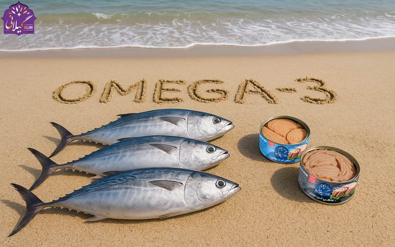 همه چیز در مورد فواید و تاثیر اسیدهای چرب امگا 3 در ماهی تن