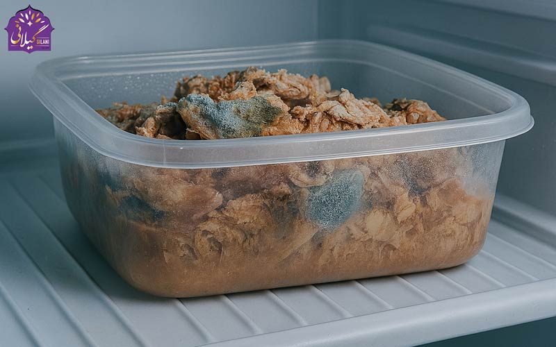 بهترین روش نگهداری کنسرو تن ماهی قبل و بعد از باز شدن